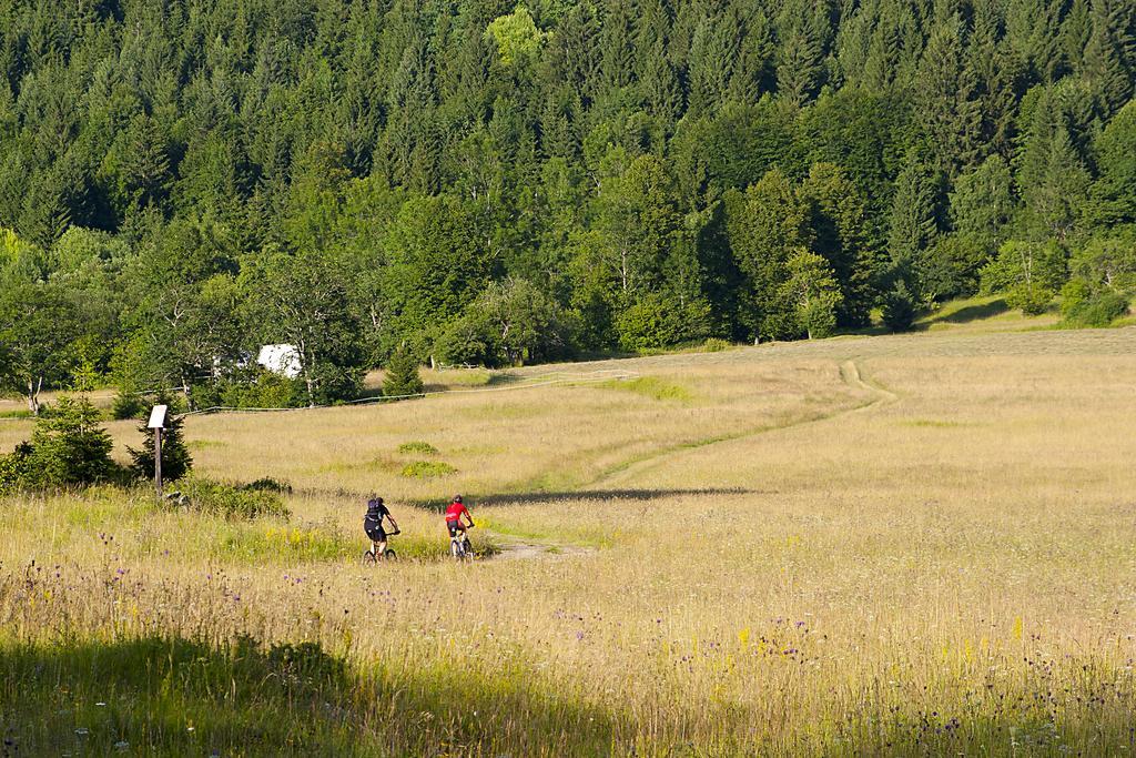 Hotel Bela Krajina Metlika Buitenkant foto